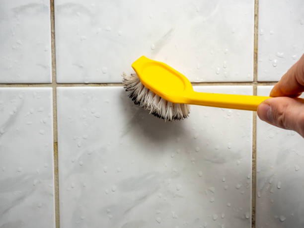 Office Mold Removal Services in Riverton, IL